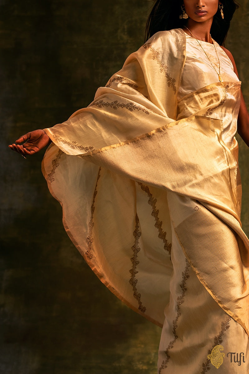 Beige-Gold Pure Ektara Silk Tissue Banarasi Handloom Saree