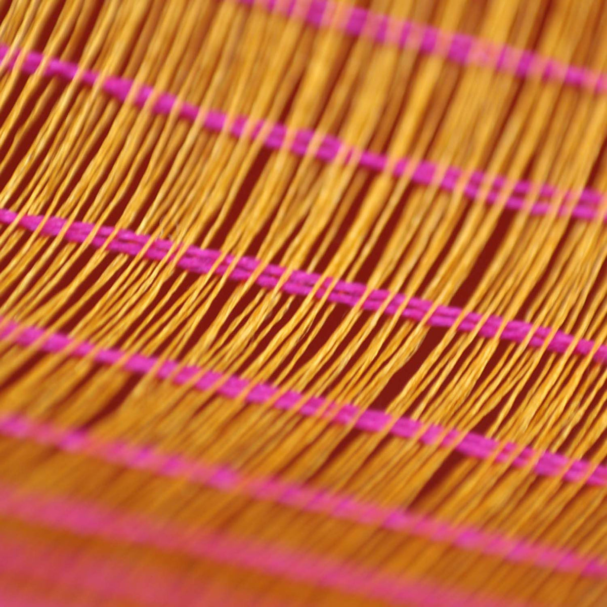 Gold-Gulabi Pink Pure Katan Silk Banarasi Handloom Dupatta - Tilfi - 4