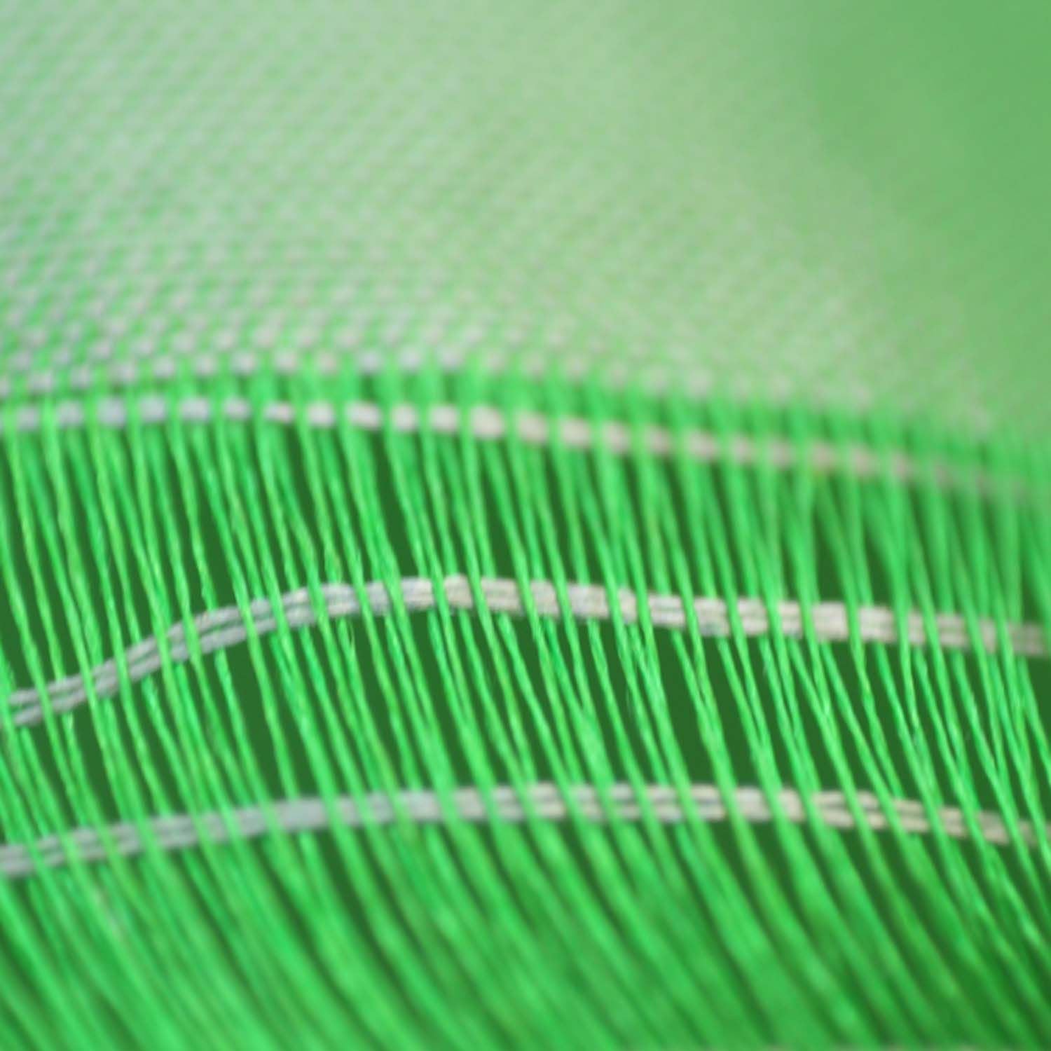 Green - Banarasi Handloom Katan Silk Zari Buti Dupatta with Tassels 64