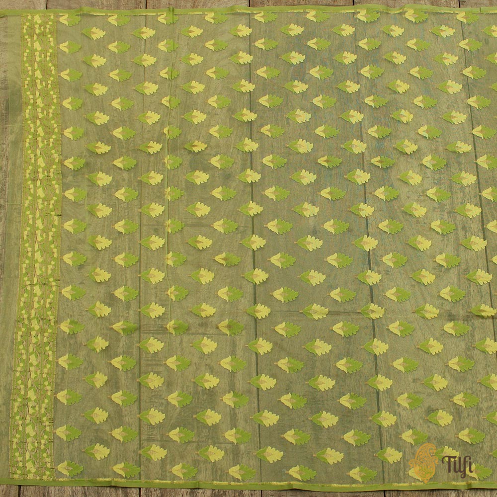 Green Pure Kora Silk Net Dupatta &amp; Fabric Set