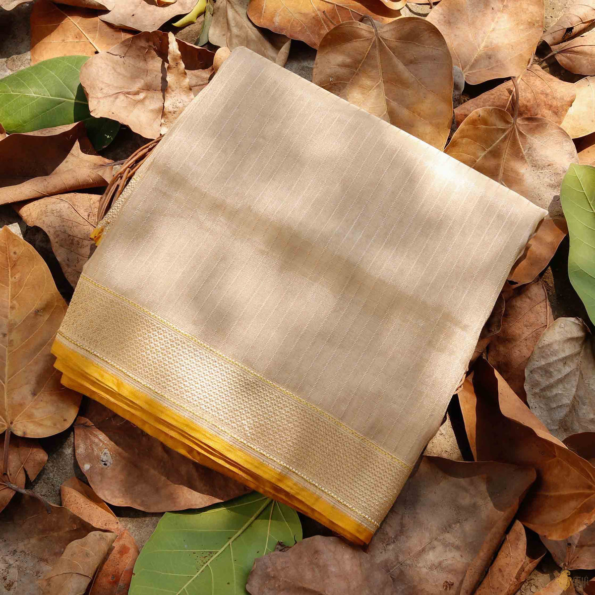 Beige-Gold Pure Cotton Tissue Banarasi Handloom Saree